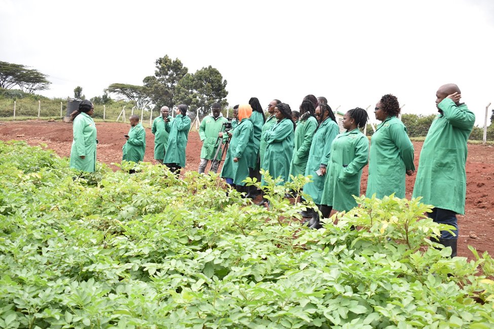 Kalro KALRO Hosts Media Study Tour To Highlight Advances In Biotech Potato ...
